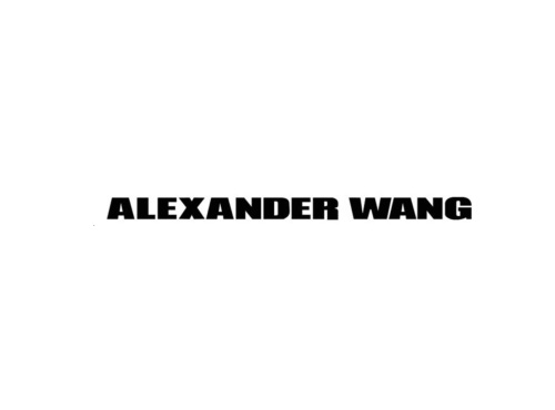 Alexander Wang亚历山大王